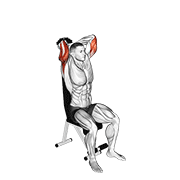 Seated Dumbbell Triceps Extension
