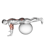 Stability Ball Leg Raise