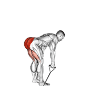 Band Stiff Leg Deadlift