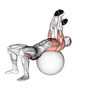 Stability Ball Dumbbell Pullover
