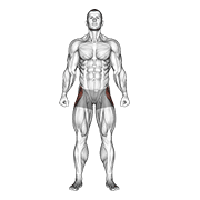 Lateral Leg Raise
