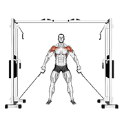 Cable Front Raise
