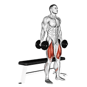 Dumbbell Box Squat