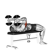 Lying Dumbbell Triceps Extension