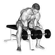 Dumbbell Forearm Curl