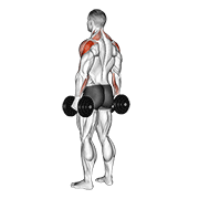 Dumbbell Rear Delt Fly