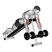 Lying Incline Bench Curl