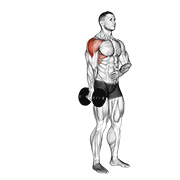 One Arm Dumbbell Lateral Raise