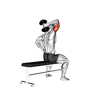 One Arm Seated Dumbbell Triceps Extension