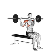 Seated Behind the Neck Press