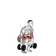 Dumbbell Squat Curl