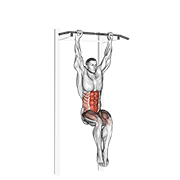 Hanging Leg Raise