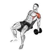 Incline Bench Dumbbell Raise