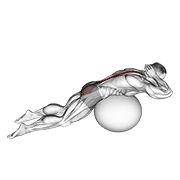 Stability Ball Back Extension