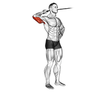 Band Triceps Extension
