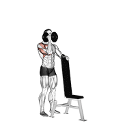 Standing Neutral Grip Press