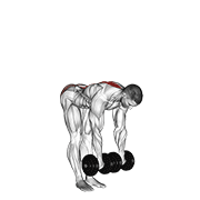 Dumbbell Stiff Leg Deadlift