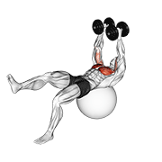 Single Leg Stability Ball Dumbbell Fly