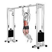 Hanging Straight Leg Raise