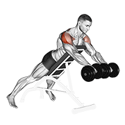 Incline Dumbbell Rear Delt Fly