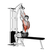 Cable V-Bar Row