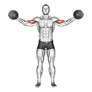High Dumbbell Curl