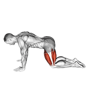 Quadruped Quad Stretch