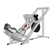 45 Degree Calf Press