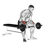 Seated Reverse Barbell Wrist Curl