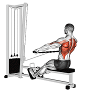 Wide Grip Seated Row