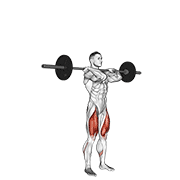 Front Barbell Squat