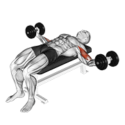 Lying Dumbbell Curl
