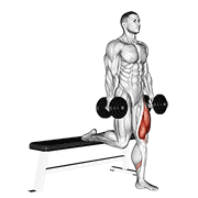 Dumbbell Split Squat