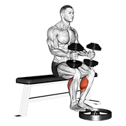 Seated Dumbbell Calf Raise