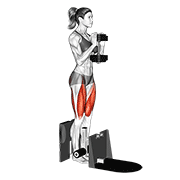 Assisted Dumbbell Squat