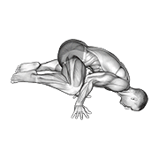Frog Plank