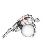 Stability Ball Lat Stretch