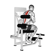 Back Extension Machine