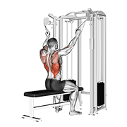 Neutral Grip Lat Pulldown
