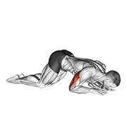 Kneeling Triceps Extension