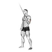 One Arm Cable Triceps Extension
