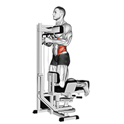 Trunk Rotation Machine