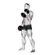 Alternating Dumbbell Hammer Curl