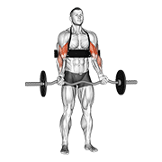 Arm Blaster EZ Curl