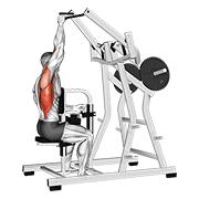 One Arm Lat Pulldown