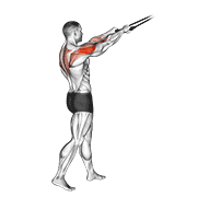 Band Rear Delt Row