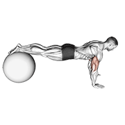 Decline Push-up on Stability Ball