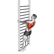 Close Grip Inverted Row