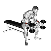 Seated Hammer Curl
