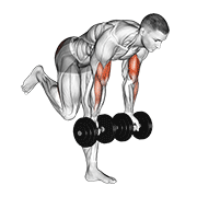 Single Leg Dumbbell Curl